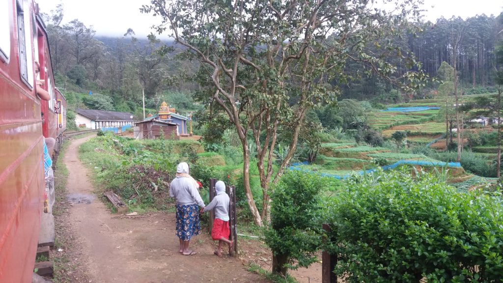 Cesta vlakem v horských oblastech Srí Lanky patří mezi ty nejhezčí a zároveň nejpomalejší. Můžete vidět krásné čajové plantáže, výhledy i tradiční horské vesnice.