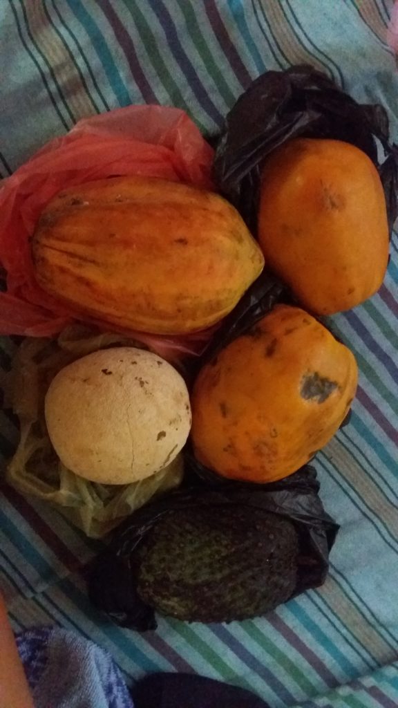 Papaya (oranžová je nejvíce zralá) a světlé wood apple.
