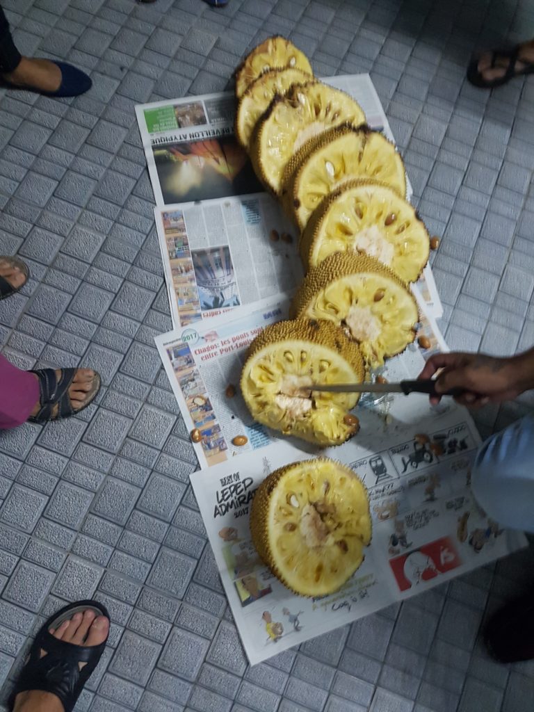 Rozporcovaný jackfruit. Skvělá pochoutka pro půl vesnice.
