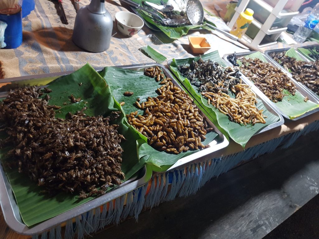 Bang Niang Market - smažení červi, kobylky a štíři. Khao Lak