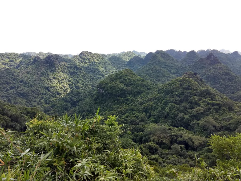 Výhled na národní park porostlý hustou džunglí, Cat Ba.