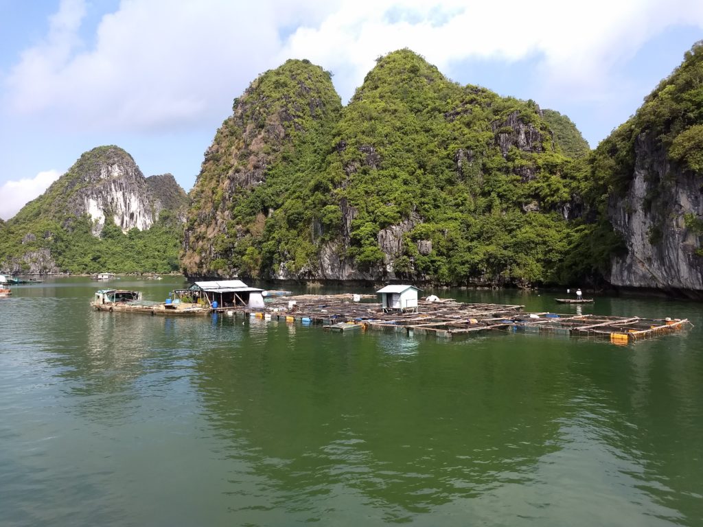 Během plavby můžete vidět několik rybářských vesnic postavených přímo na vodě, Ha Long.
