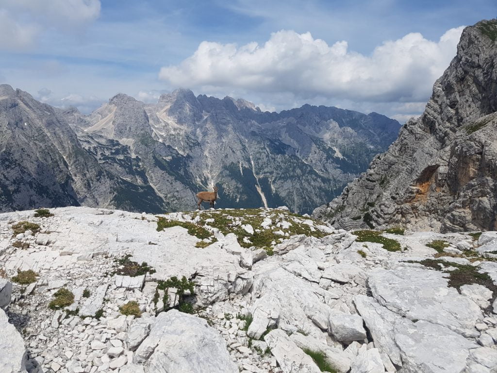 Pod nejprudším stoupání na vrchol Triglavu.