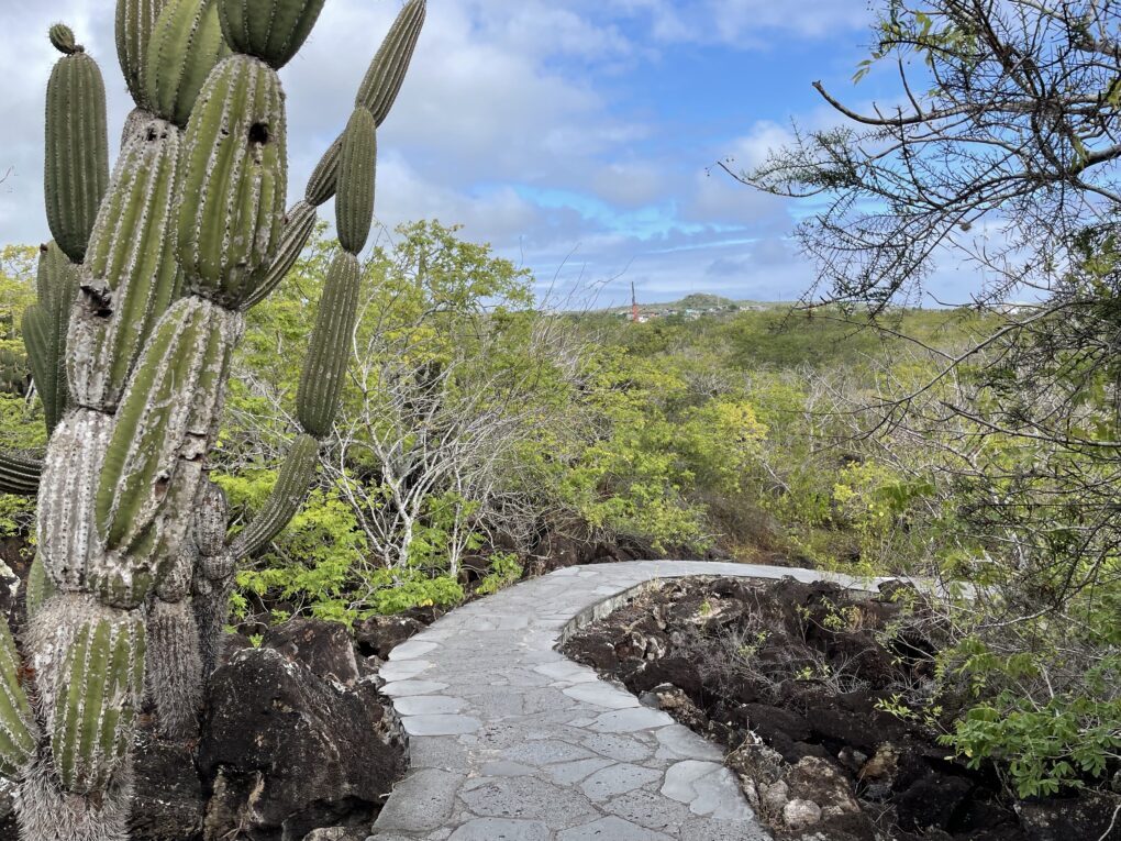 Tropický suchý les, Galapágy.